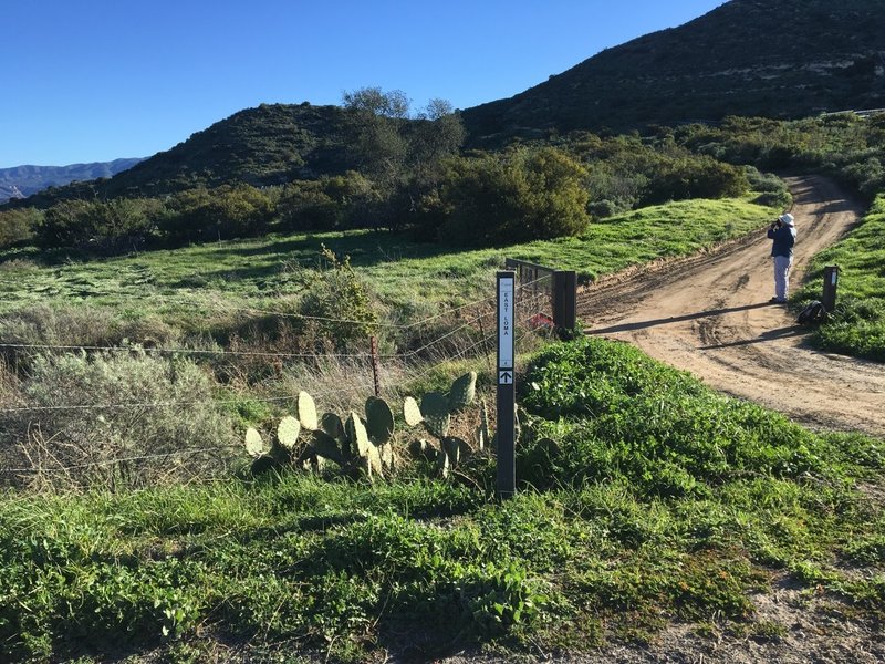 Entrance to East Loma from Hicks Haul Road