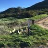 Entrance to East Loma from Hicks Haul Road