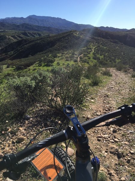 Rocky and sometimes rutty Limestone Ridge