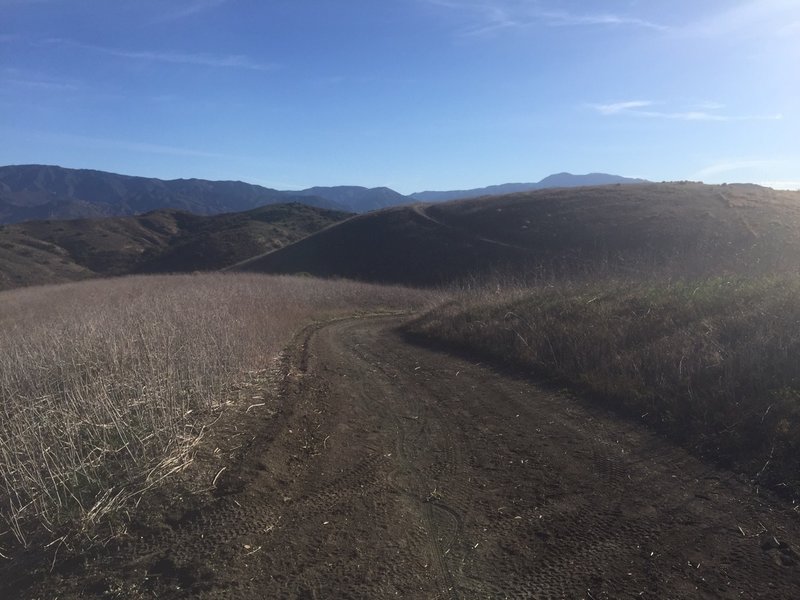 West Loma traverses an open expanse of hills and meadows on Loma Ridge.