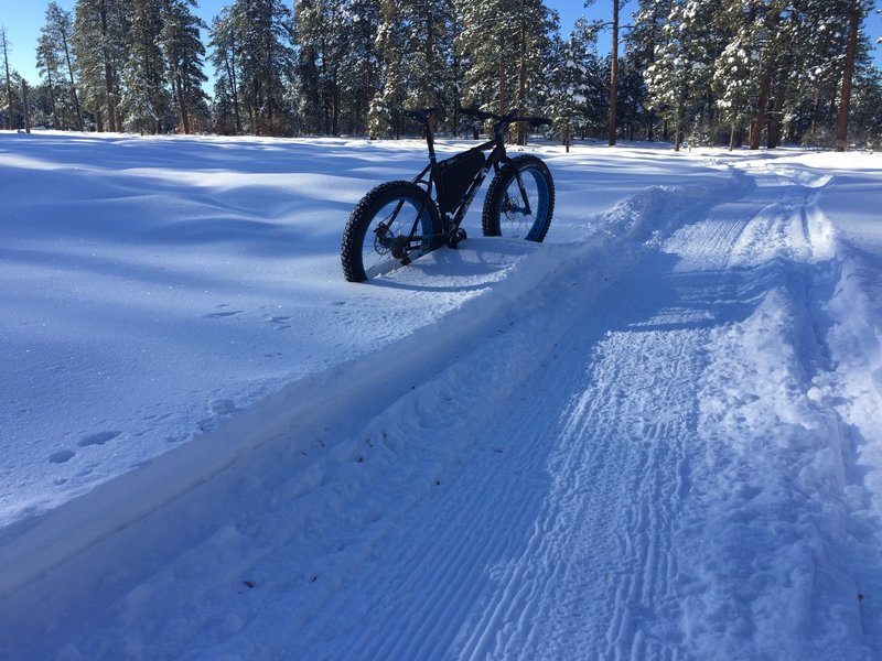 A winter version of the Turkey Springs trail.