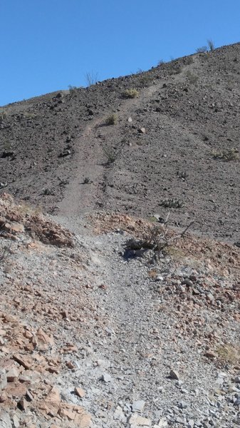 Attention-getting hill at west end of Picnic Table