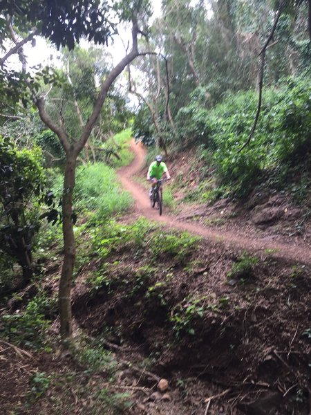 On the downhill heading south.