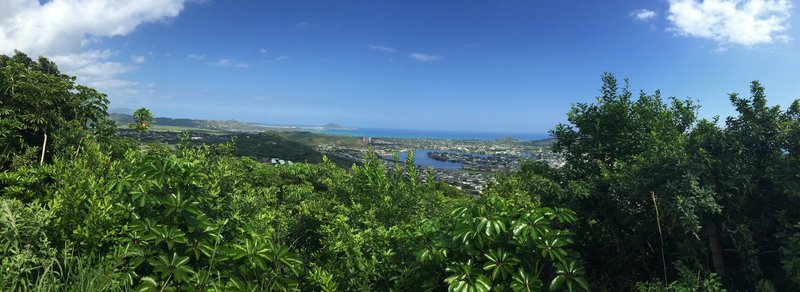 A nice. wide-angle view of the coast!