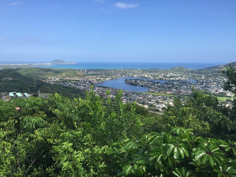 An awesome view of the coast!