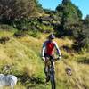 Dad riding a section of the Canaan Loop.