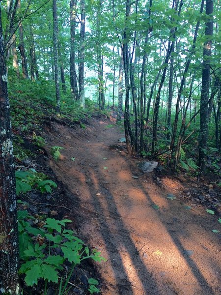 Flowly singletrack on Hot Saw