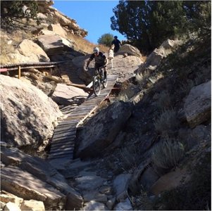 Can you spot the trail dog on one of the signature features of the FreeRide trail?