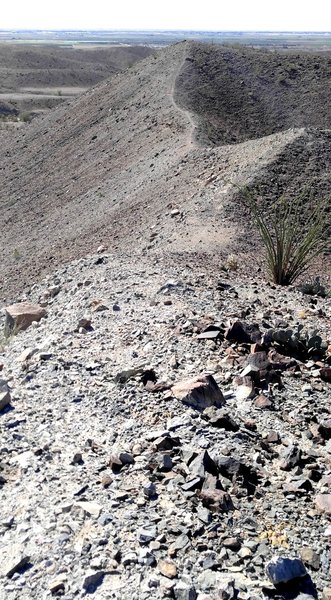 This wild ridgeline trail has a nearly impossible climb at both ends and if you slide off, you won't stop till you've reached the bottom.  It is connected to the rest of the trail system only on the northeast end. I call it "Hair-raiser".