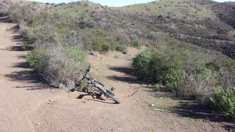 New Bridgegate Trail trailhead