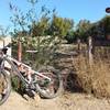 The White Horse Trail trailhead off Potrero Road.