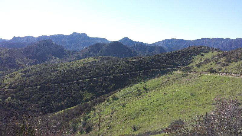 View of White Horse Canyon Trail, looking south.