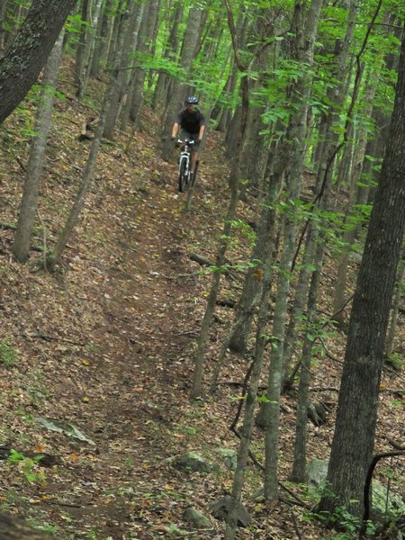 Nice rolling singletrack on the Waterline Trail.