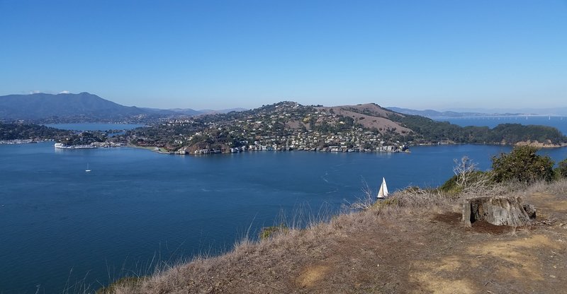 Mount Tam and Tiburon from Fire Road Loop.