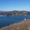 Mount Tam and Tiburon from Fire Road Loop.