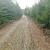 One of the many doubletrack sections found in the Port Gamble complex.