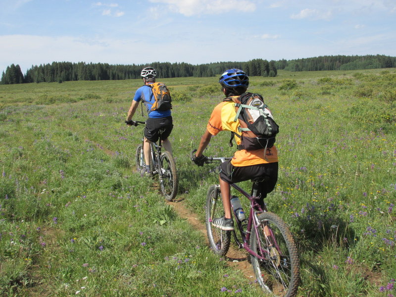 Singletrackin' with Marcus and Alan on Indian Point.