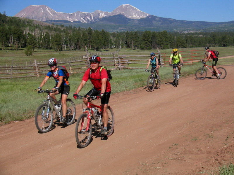 Pine Flats with the La Sal Mts. rising up