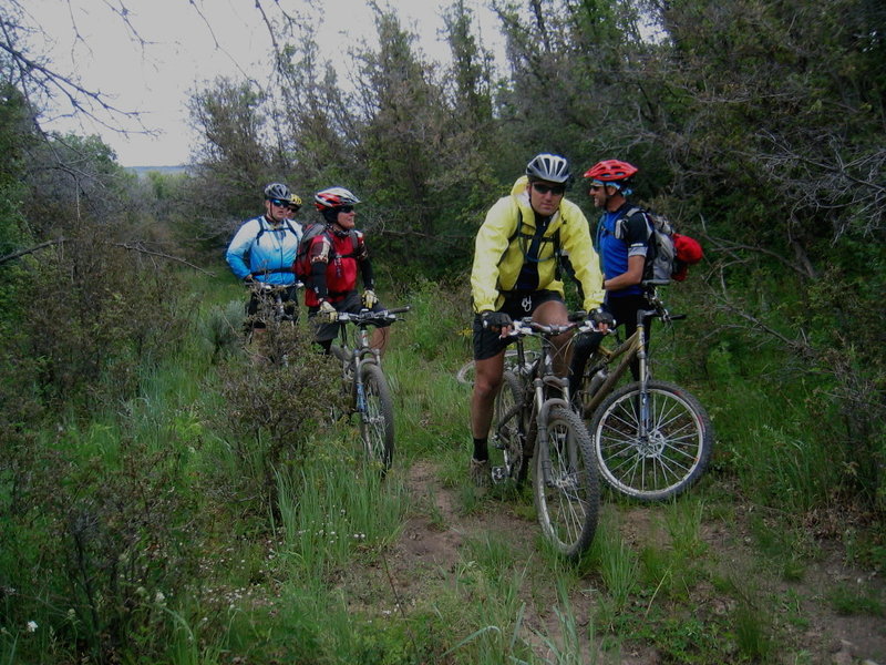 Coming off of Cabin Bench - Paradox Trail