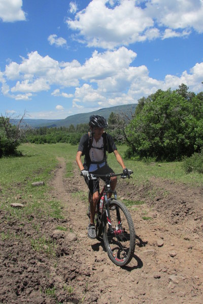 Ridin' Cabin Bench - Paradox Trail