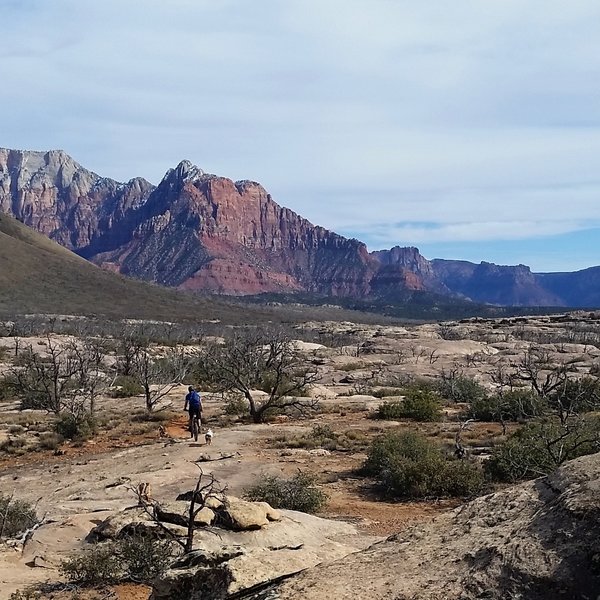 Sundev Lohr and Raina dog on the start of Guacamole. This trail was great with a dog--but make sure you pack enough water to share as there wasn't any available along the trail.