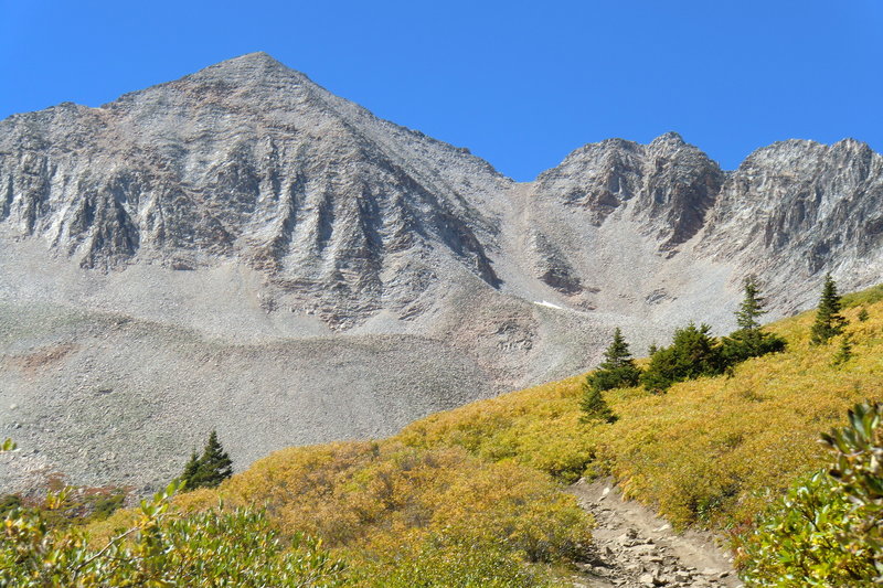 This depicts the singletrack route near Star Pass and Taylor Divide.  It is a part of a RADtrek segment ride from Aspen/Ashcroft to Crested Butte, Colorado.  This shot is a part of a larger cross-state route that combines 1500 miles of singletrack, jeep and ATV trails from Wyoming to New Mexico.