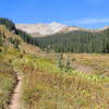 Brush Creek Trail southwest of Star Pass