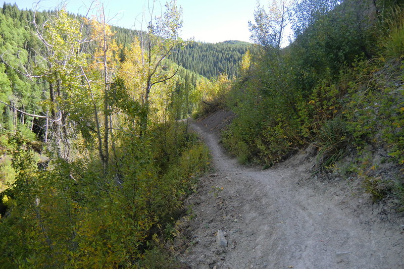 Death Pass, a shortcut singletrack located between two points along the lower Brush Creek 4wd trail. 2015