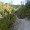 Death Pass, a shortcut singletrack located between two points along the lower Brush Creek 4wd trail. 2015