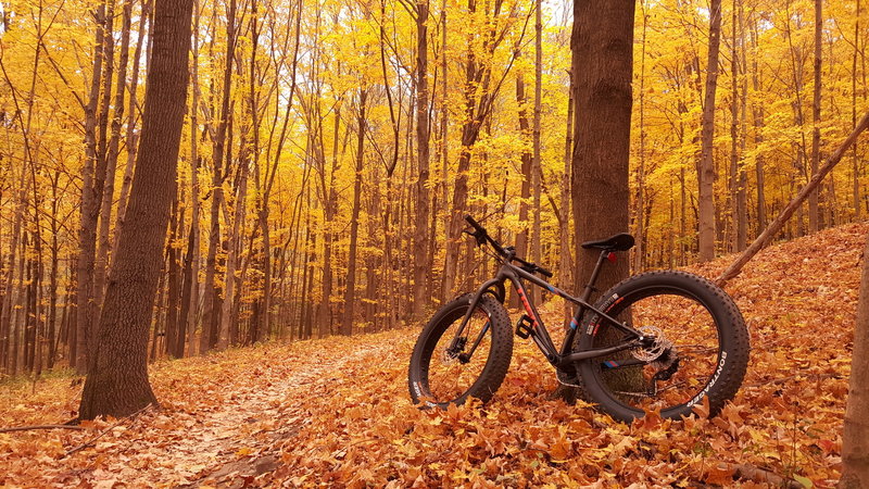 Nice relaxing ride on the Alpha Trail this last fall.