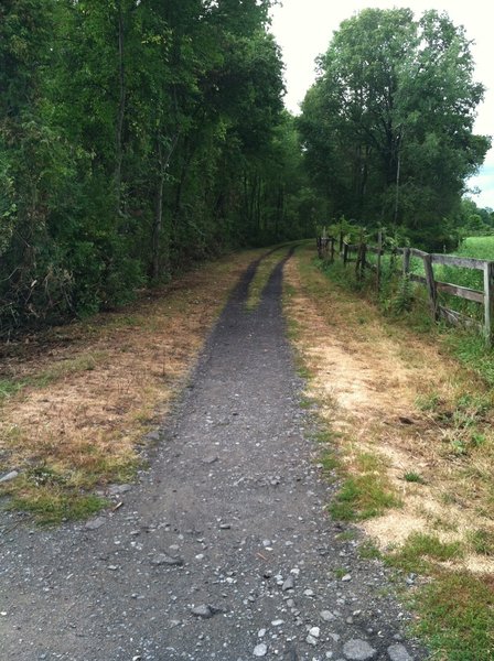 Looking northward on the Wallkill Valley Rail Trail and near a small parking area at Coffey Road and near Mile Marker 11 in New Paltz. The Wallkill rail trail bridge at Springtown is less than half a mile south.