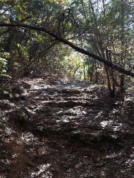 One of the many rocky drops you'll encounter on the Coyote Run Trail.