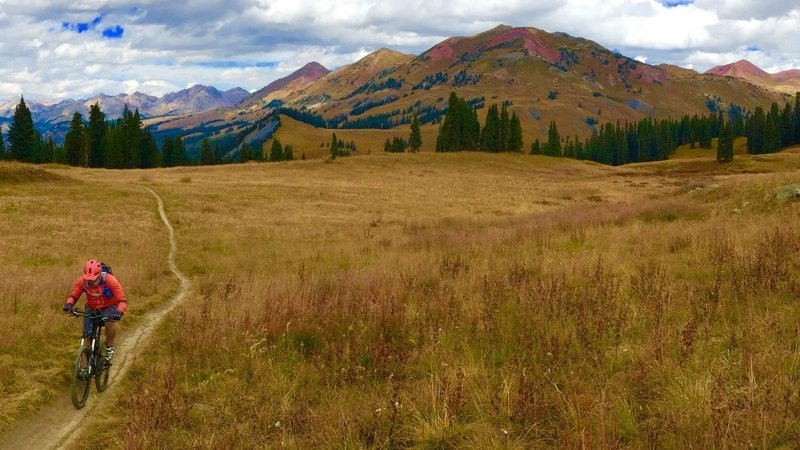 Looking back at the mountains from the 401 Trail.