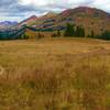 Looking back at the mountains from the 401 Trail.