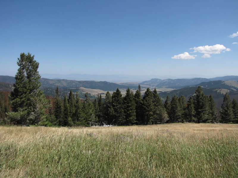 View across the meadow near MacDonald Pass.