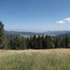 View across the meadow near MacDonald Pass.