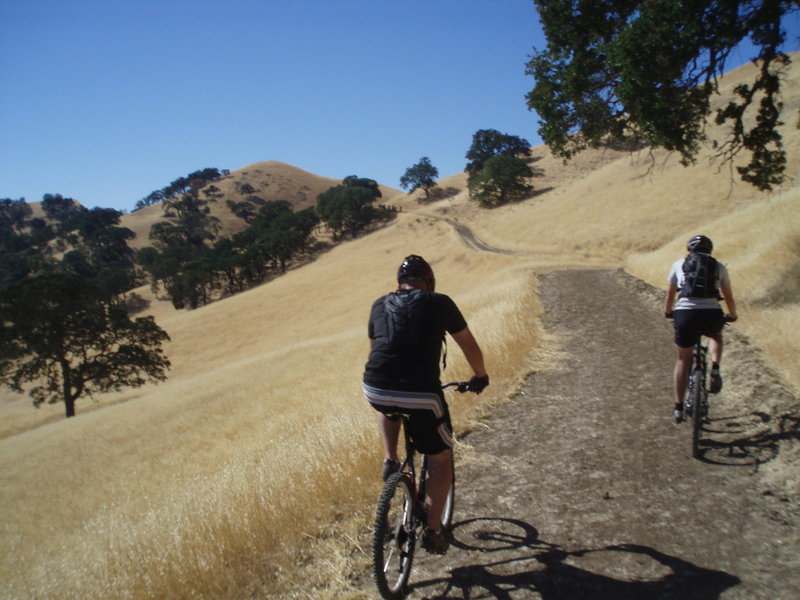 Carbondale Trail near Stewartville Trail junction