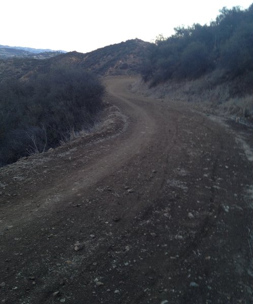 Groomed fire road on Los Robles Trail.