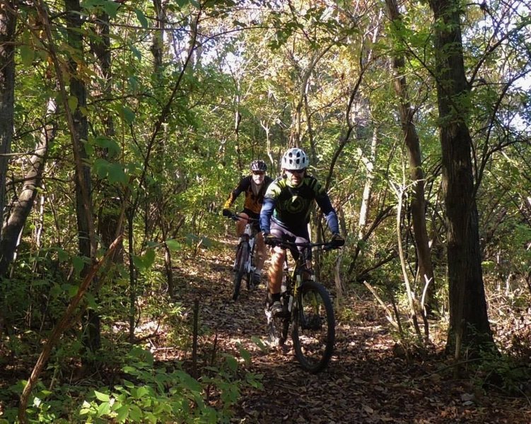 Guys riding bikes in the woods.