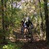 Guys riding bikes in the woods.