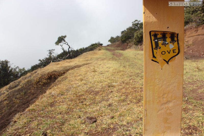 Looking up Skyline Trail - HI Love.