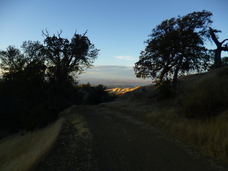 Upper section of Black Diamond Trail.