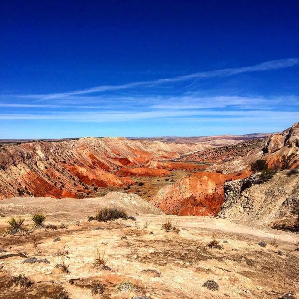 White Mesa.