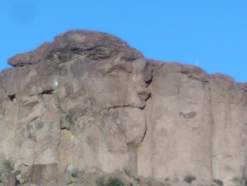 Big head looking over trail. Taken November 1, 2015.