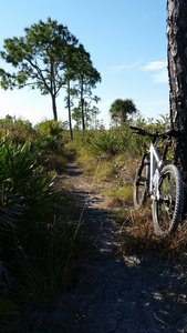 Out on the trail. Beautiful afternoon.