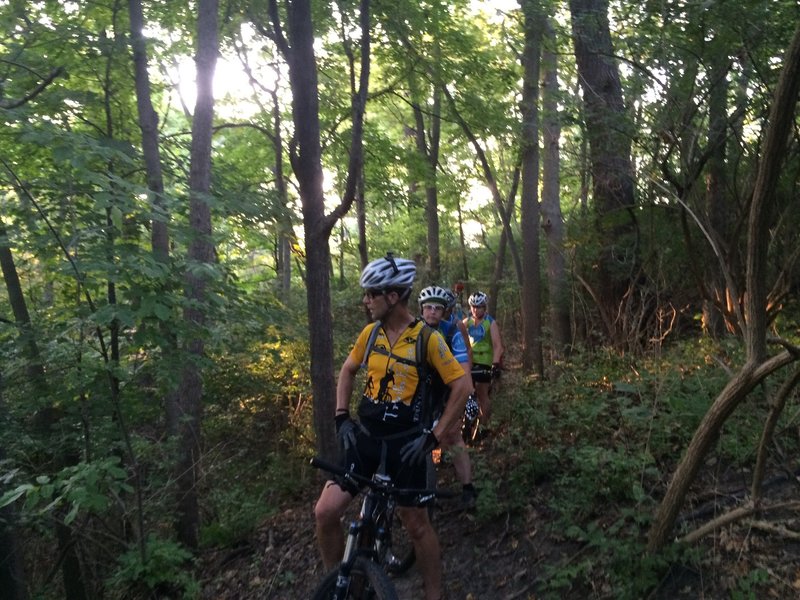 The Rouge Park MTB Trail - secluded singletrack in a natural setting just west of the big city.