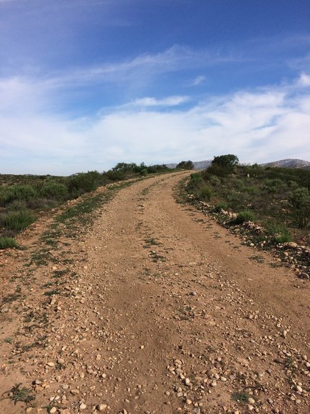 Typical Mission Trails truck trail passed off as a trail.