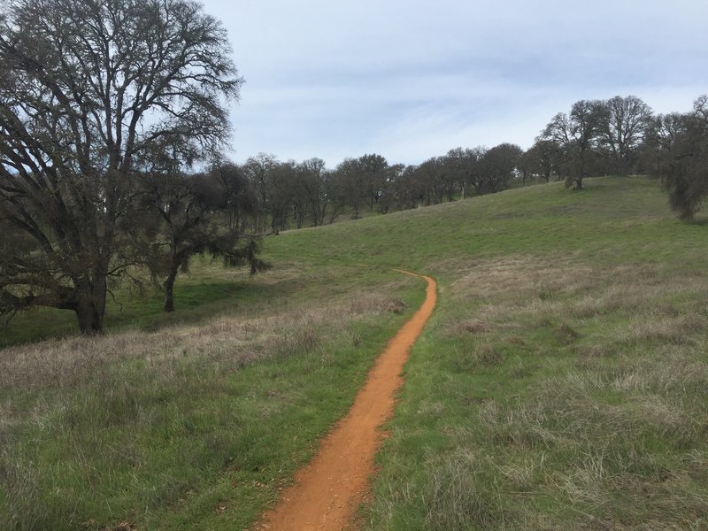 Flowing singletrack.