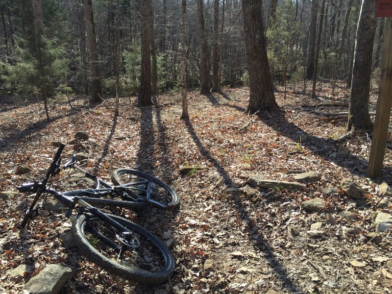 Bike taking a nap at the turnaround point.