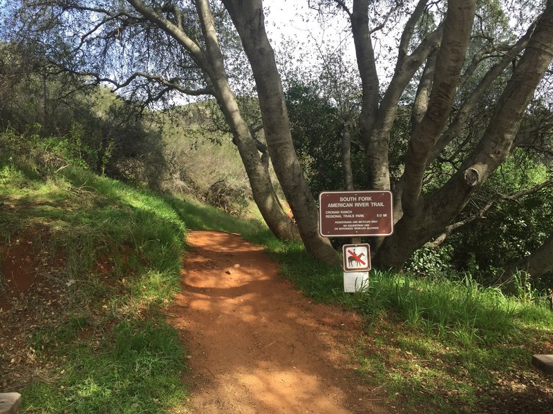 Trail begins here right behind the bathrooms in parking lot and then goes up!